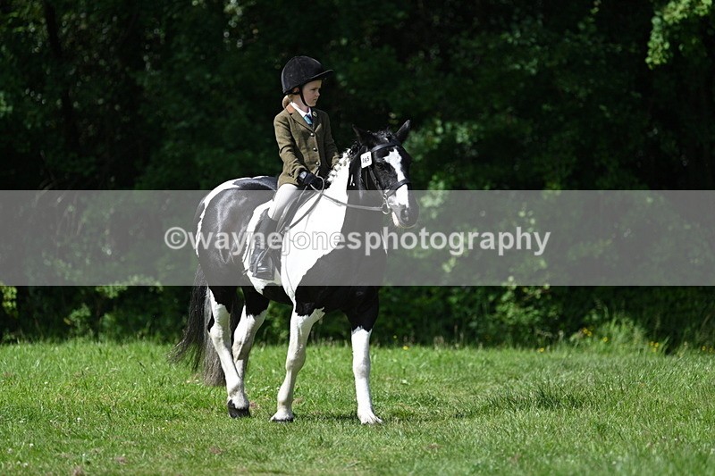 WJ7_0995 - Class 11 Condition & Turnout