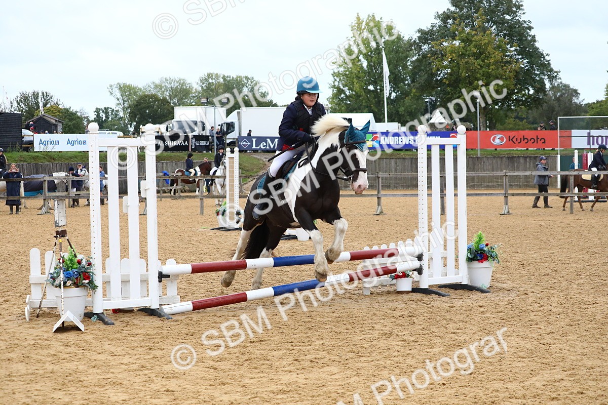 SBM_60080 - J63 - Junior Pony 50cm Championship