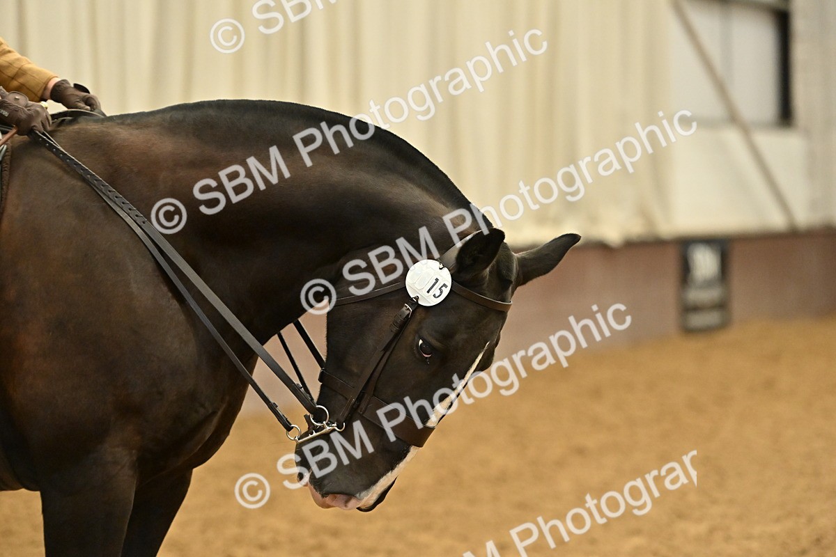 SBM_002035 - Class 21 - BSHA Ridden Show Cob