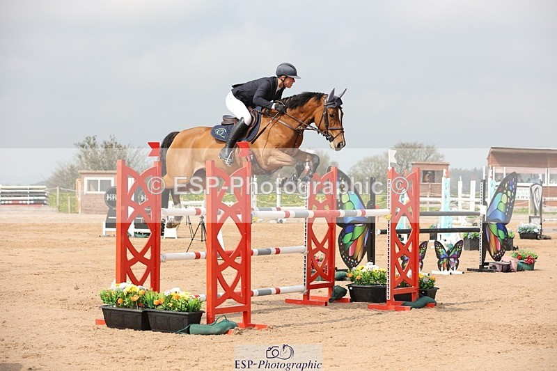 250424-105408-03286 - Cls 33 Young Horse 7yr old