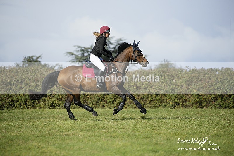  WWHT 031021 1377 - Open Novice (0.80m) 03/10/21