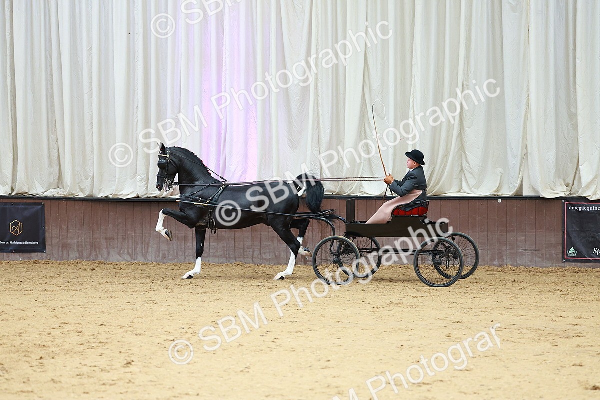 SBM_001015 - Class 13  - HHS Championship Intl Hackney Horse to a Show Wagon