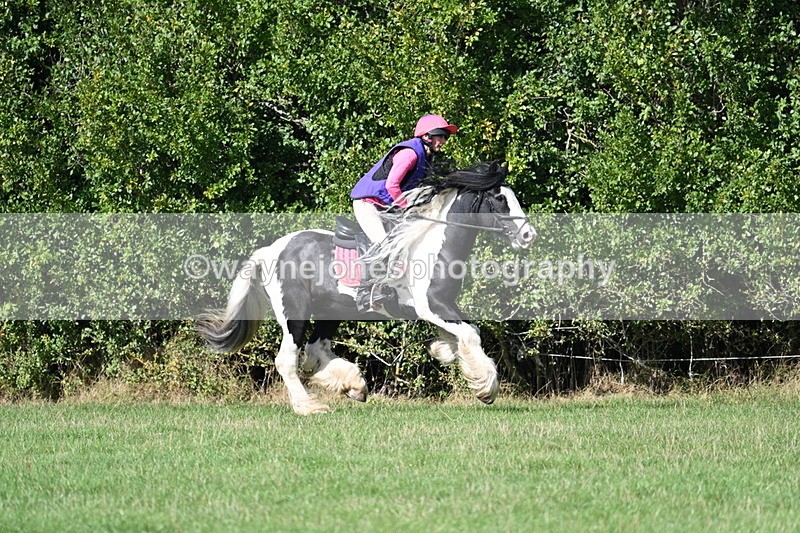 WJ7_0161 - Time 12:53 to 13:03