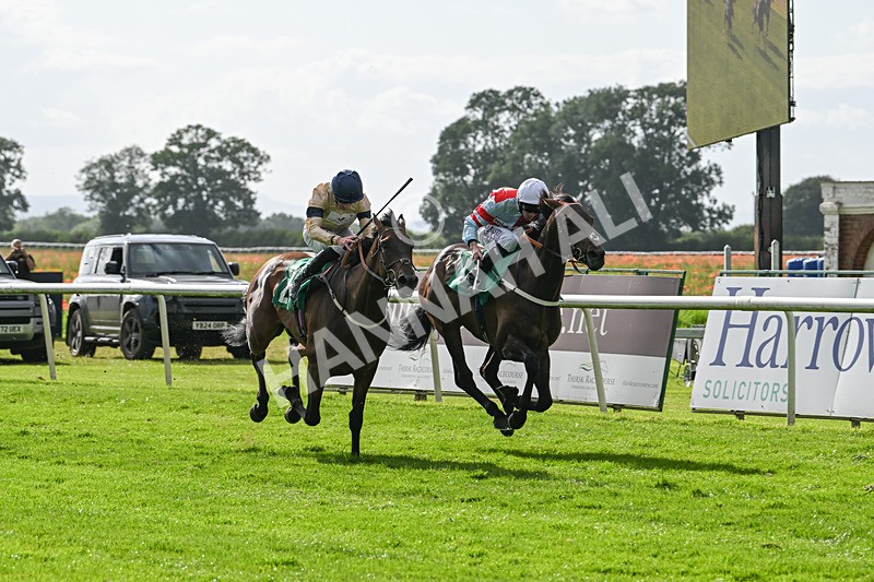 030824-Race 6-Night Breeze-1945 - Race 6