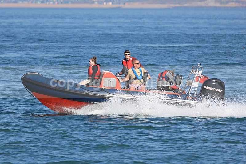 190825 XS RIBS  MERCURY 1Y3A0612 - RIBs, Tenders, Dories, Dinghies