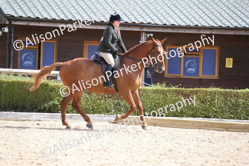 20260831-2781 - Class 16 and 17- Ridden Cob and Hunters