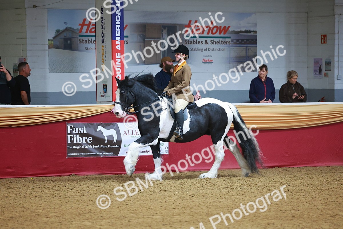 SBM_09735 - Class 102 - HOYS Veteran Qualifier - Ridden Veteran