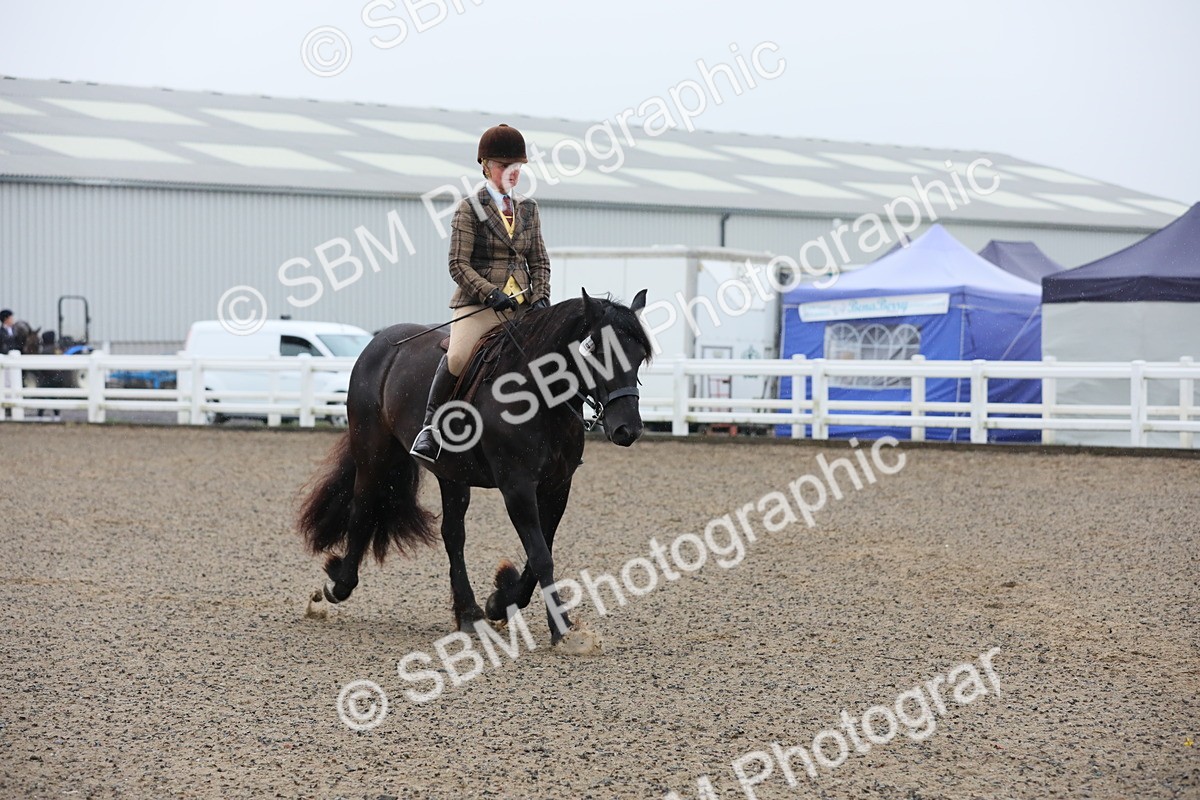 SBM_19879 - Class 801 - Ridden Veteran
