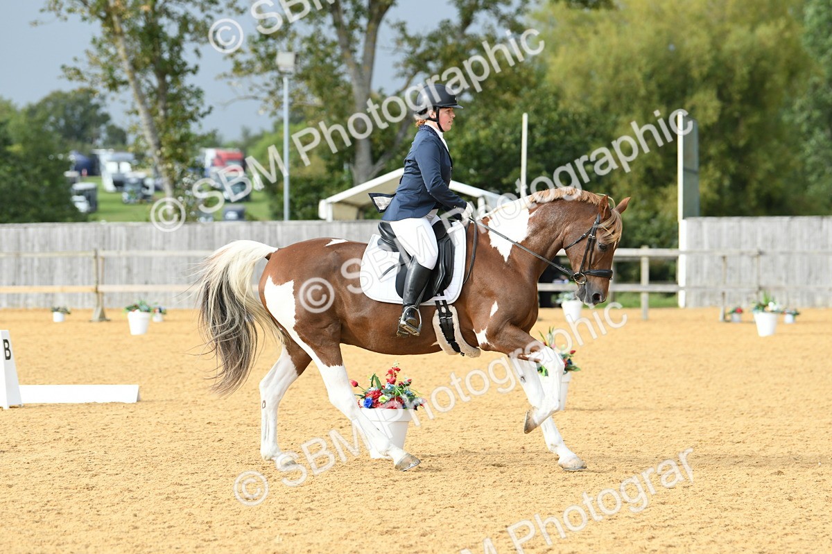 SBM_11069 - D28 Elementary Taster Elementary 42