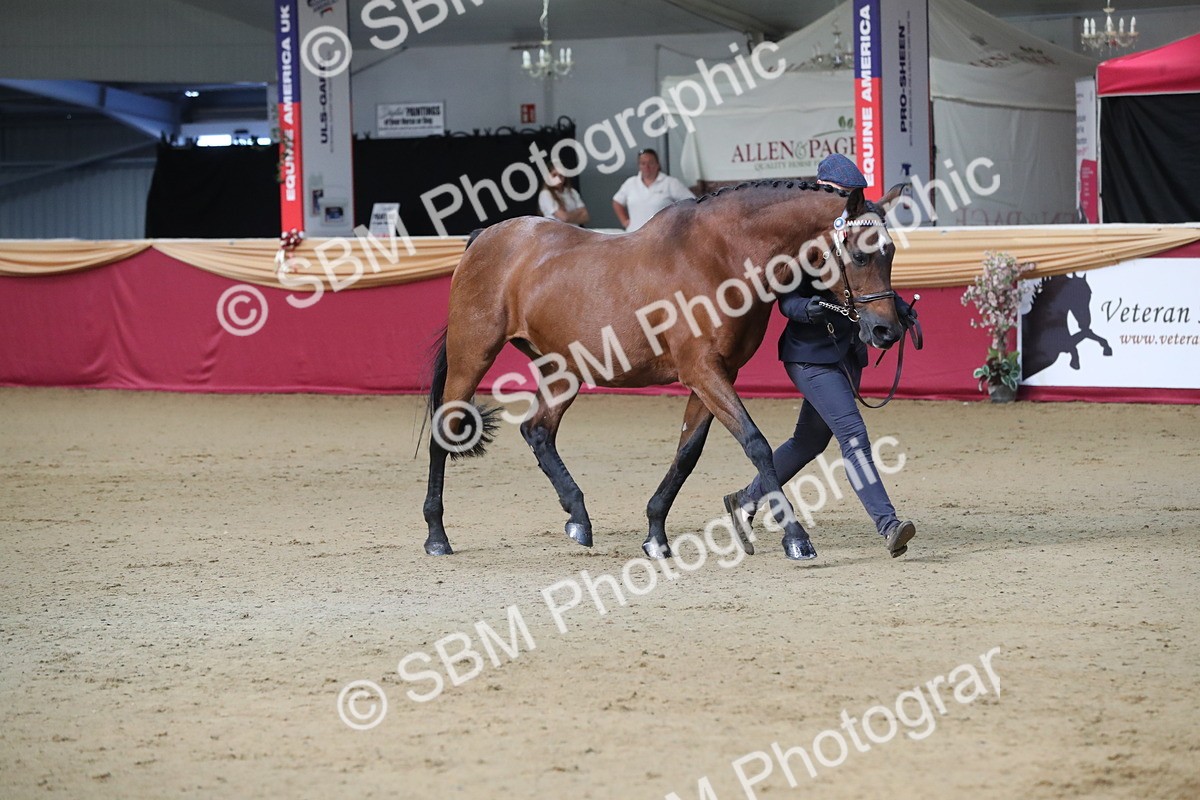SBM_00295 - Class 1a - Area IH Diamond