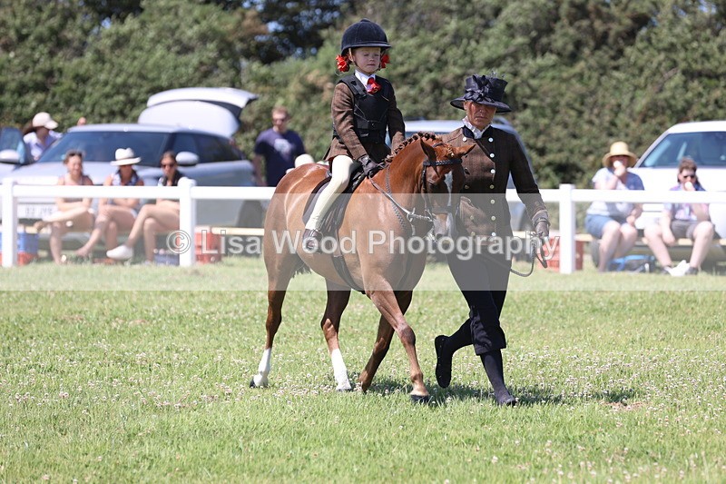 JPP_2292 - Class 20: Tiny Tots Working Hunter Pony