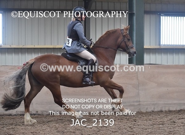 JAC_2139 - CLASS 1 Nursery Novice Working Hunter