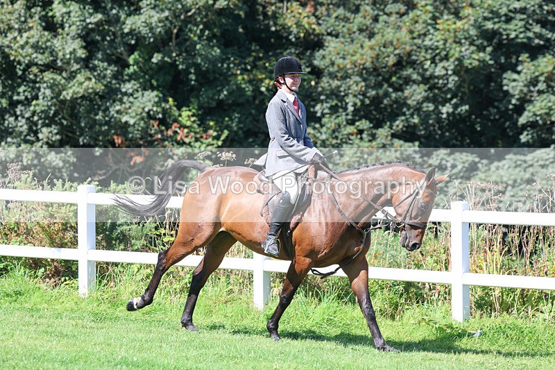 3E7A8380 - Class 4: Novice working Hunter