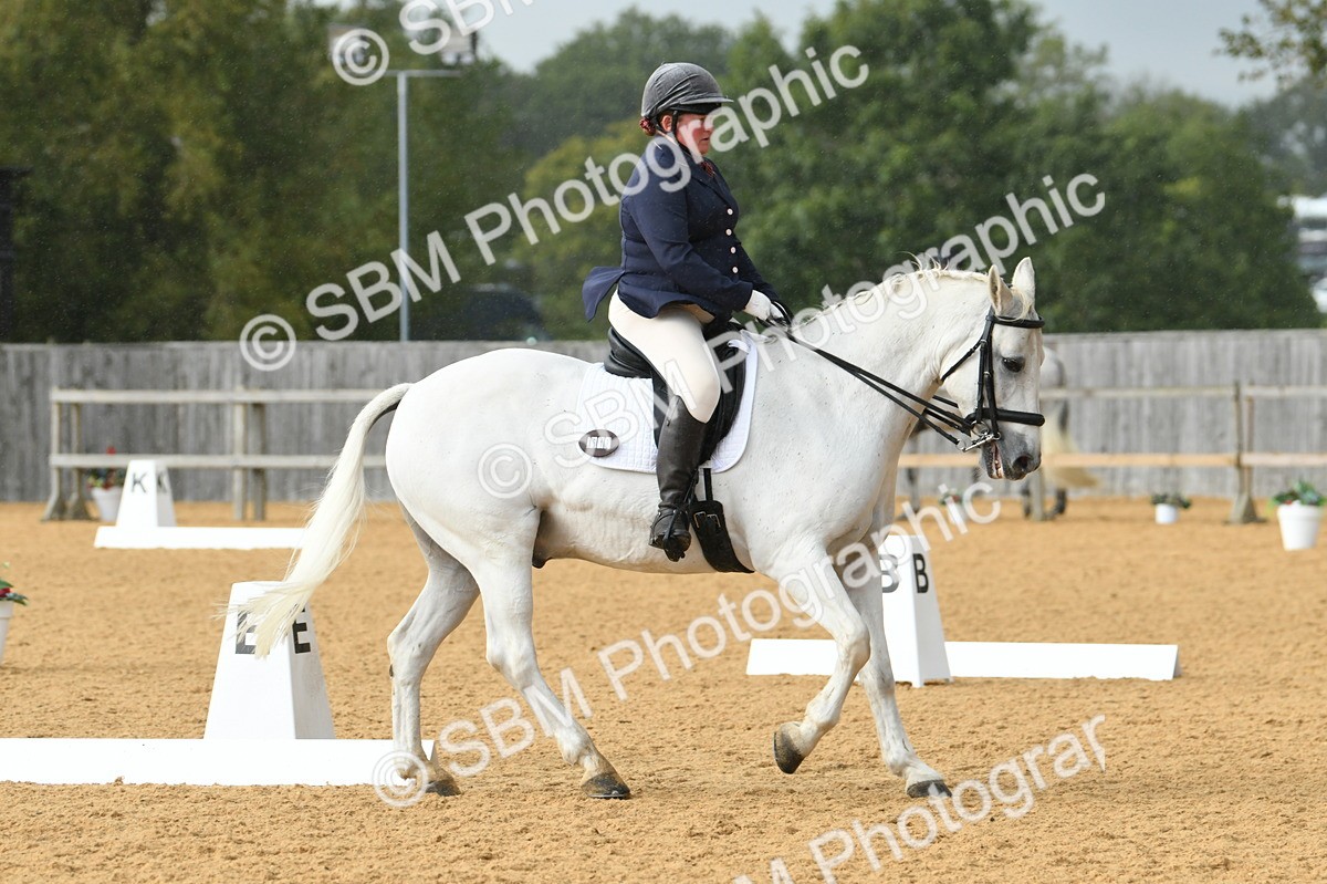 SBM_11132 - D28 Elementary Taster Elementary 42