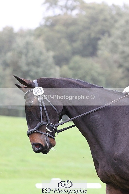 231019-102538-02312 - 603-KILBUNNY.BLUE.BIRD-Claire.Deuten-DR