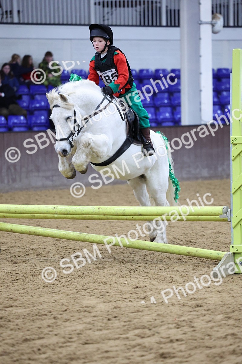 SBM_001209 - Class 3 - Christmas Tree Stakes - 60cm