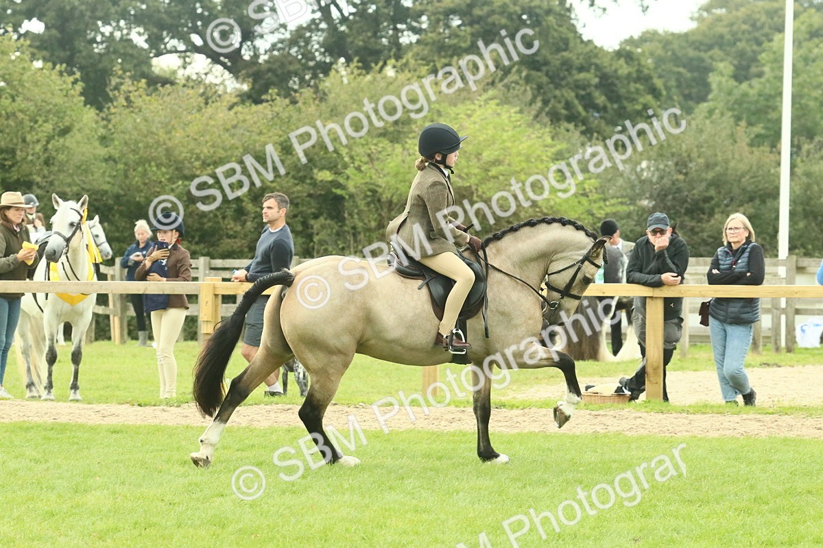 SBM_74011 - S 61 - Show Pony & Show Hunter Pony Ridden