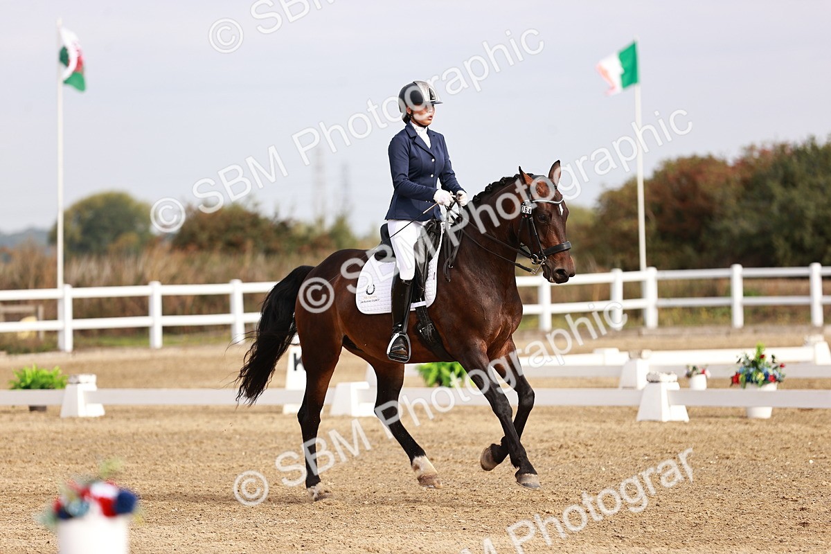 SBM_016923 - Class 10 - Medium 6