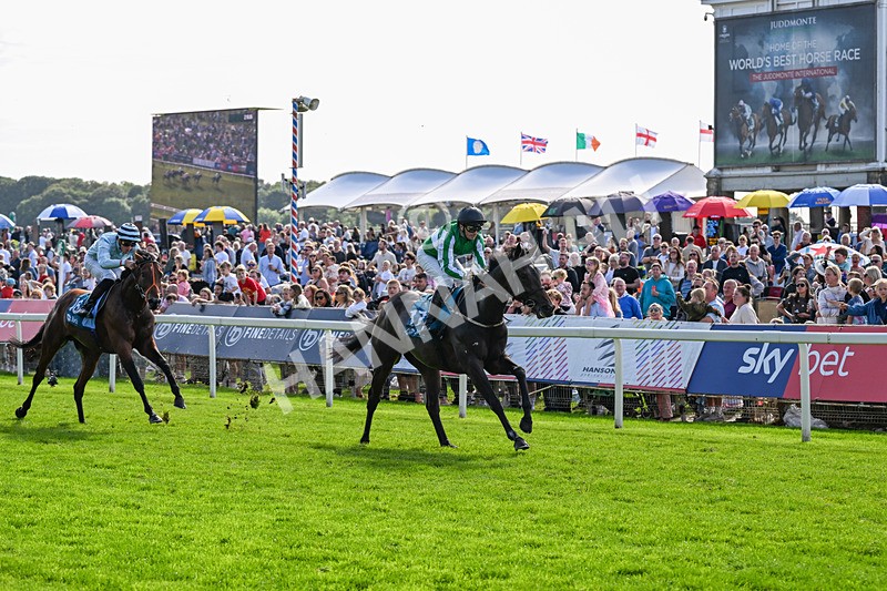 060926-Race 4-Stoneacre Donny-0272 - Race 4 3.15pm Saltmoore Collection Handicap