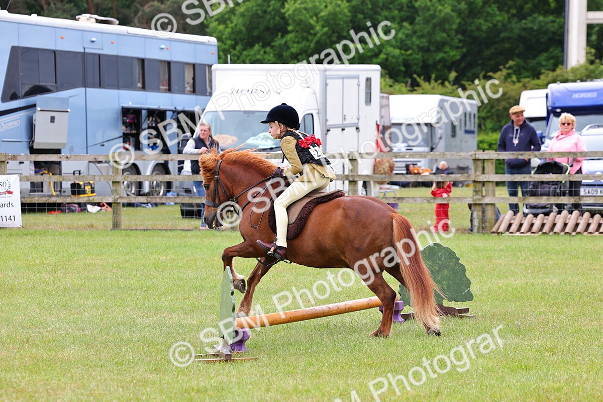 SBM_08641 - Class 42-43 - LIHS BSPS Heritage Working Sports Pony
