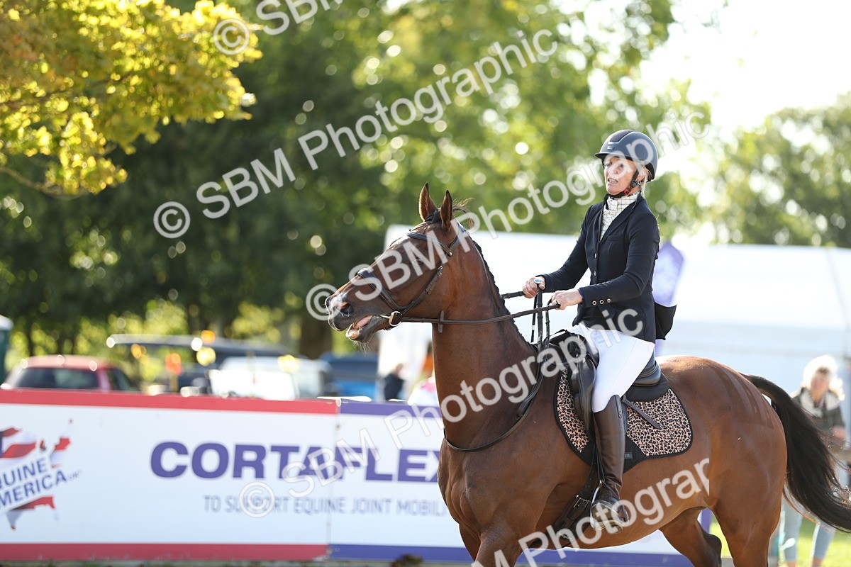 SBM_11459 - J37 - Veteran Rider 75cm