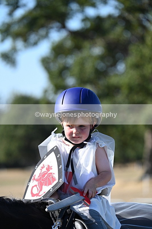 WJ7_2688 - Class 45 Fancy Dress (My Fav)