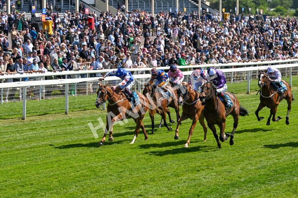 160525-Race 2-Thunder Run-6230 - Race 2 2.42pm Knights Solicitors Handicap