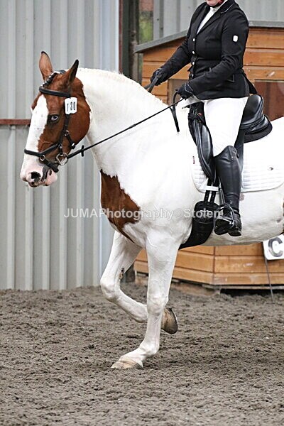 SIAL4810 - CAbin Dressage 5th july 2025