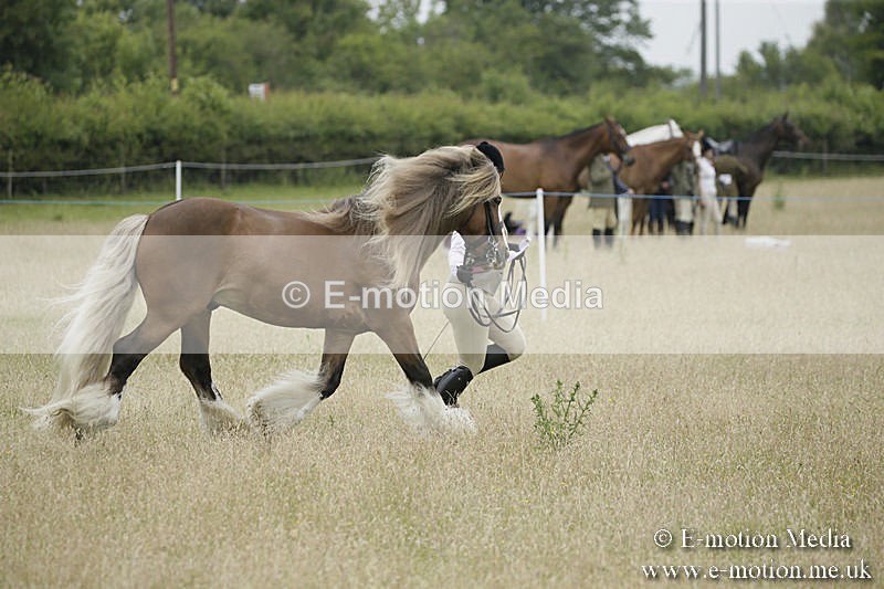 B230619-0759 - Bourne Valley Riding Club Summer Show 23/06/19
