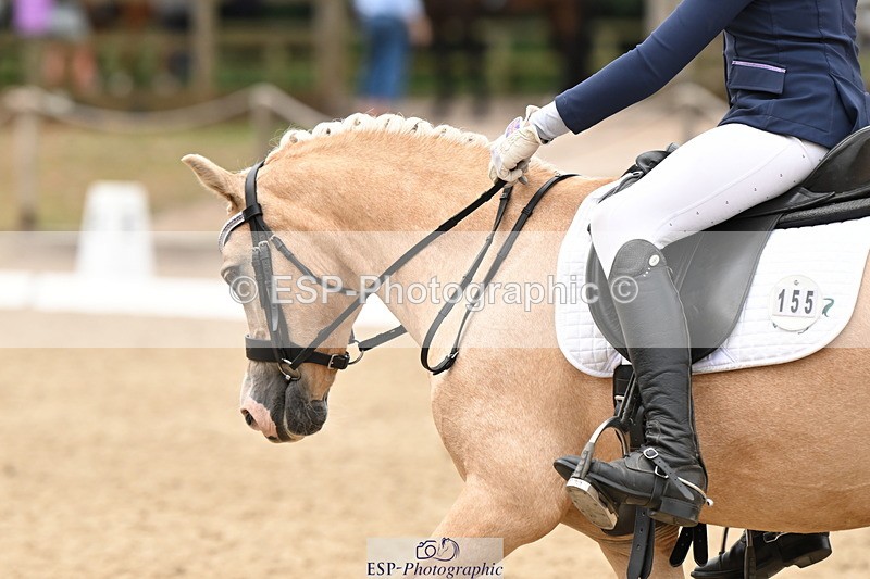 250808A-114058-00667 - 155-Rose.Cassapi-Westfirle.Golden.Oriole