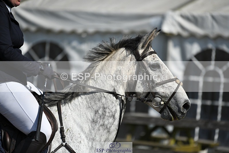 230512-100737-00463 - Cls 10 Snr 85cm Schooling