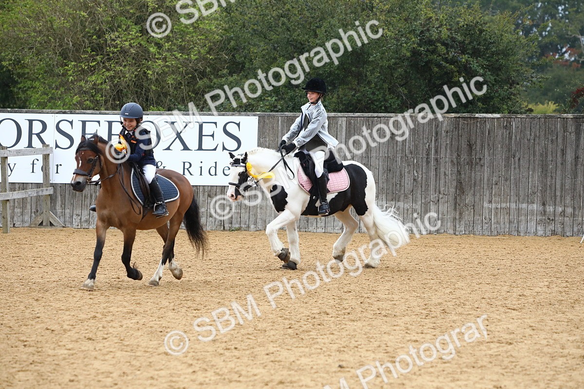 SBM_72135 - J3b - Mini Tour Junior Pony 40cm Championship