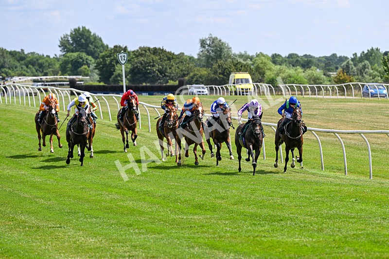 080726-Race 2-Penny Capri-6816 - Race 2 14.30pm Download The Raceday Ready App Nursery Handicap