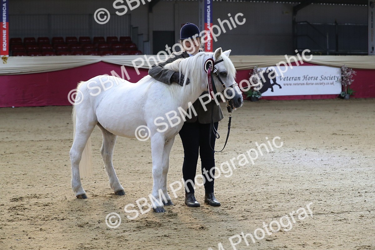 SBM_00343 - Class 1a - Area IH Diamond