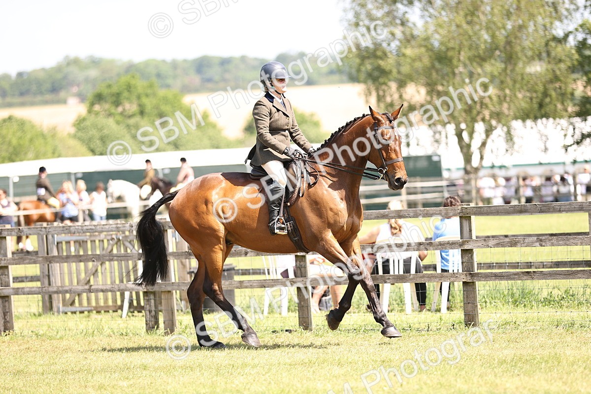 SBM_14860 - Class 78 - LIHS BSHA Open Racehorse & Show Horse