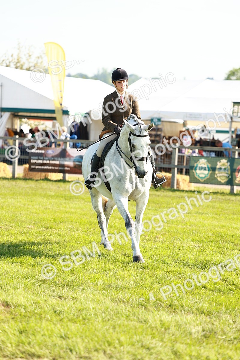 SBM_10907 - Class 66-69 - RIHS Ridden Hunters Inc Small Hunter