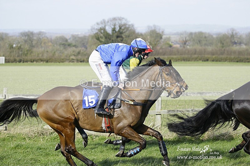 PtP 260222 56 - Kingston Blount Racing Club Point-to-Point 26/02/22