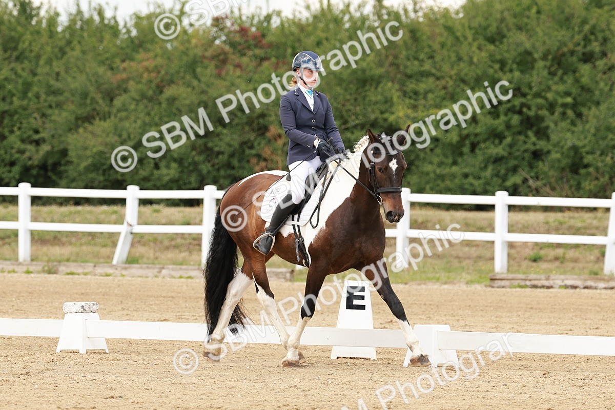 SBM_001819 - Class 8 - Elementary 6