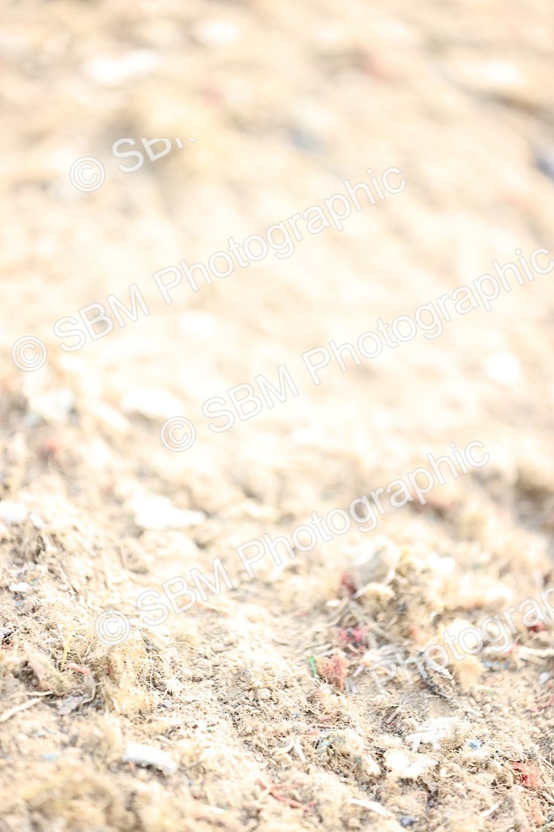 SBM_005122 - Class 20 - National 1.30m 1.40m