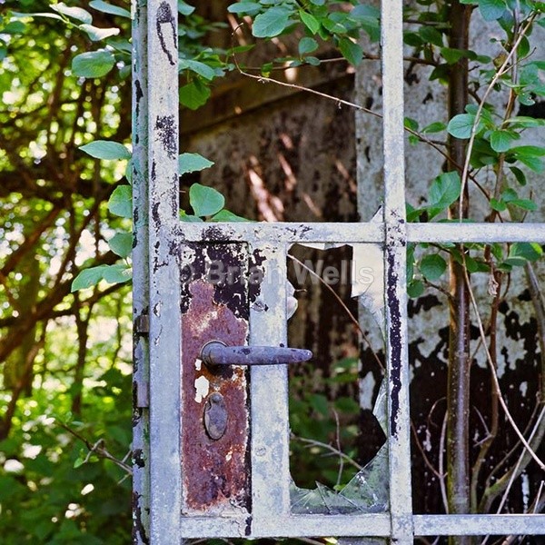 Cottage In The Woods - Decor