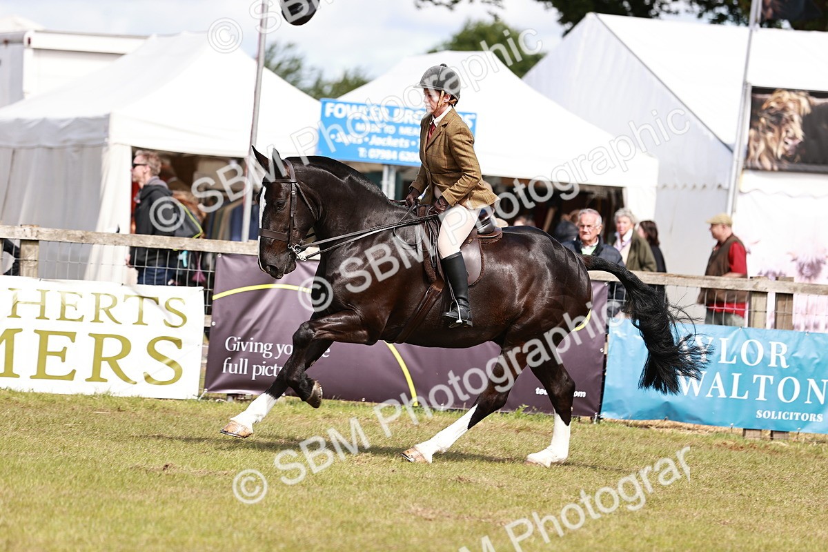 SBM_14045 - Class 85-87 - RIHS Cobs