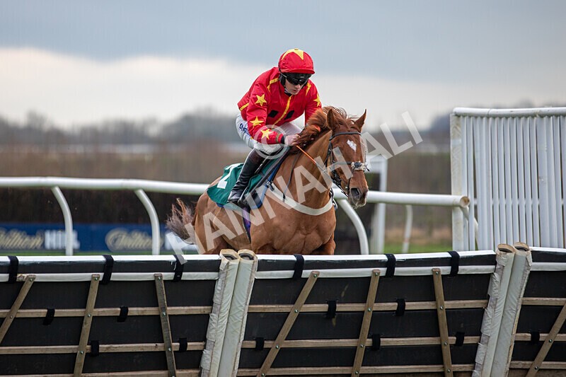 171224-Race 4-Wise Eagle-0161 - Race 4