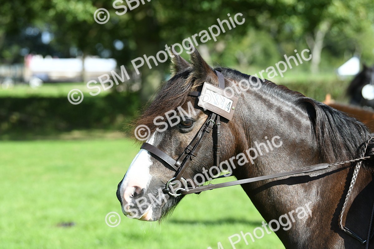 SBM_50317 - S21 - Novice & Newcomers 1st Ridden Pony