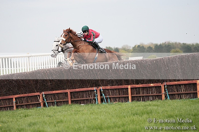 PtP 210418 280 - South & West Wilts Point-to-Point Larkhill 21/04/18