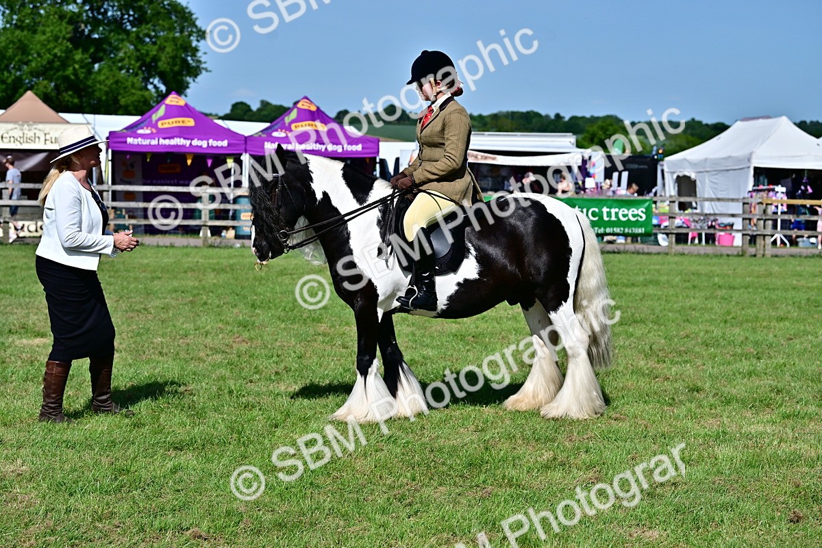 SBM_09366 - Class 63-65 - Traditional Gypsy Cobs In Hand & Ridden
