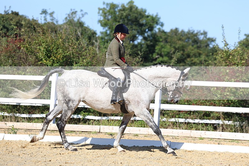 3E7A5646 - Class 9: Open Ridden Hunter