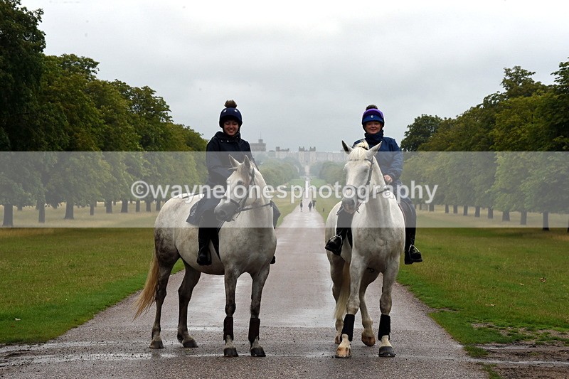 TT3_8176 - Time at Crossing 09:15 to 10:15