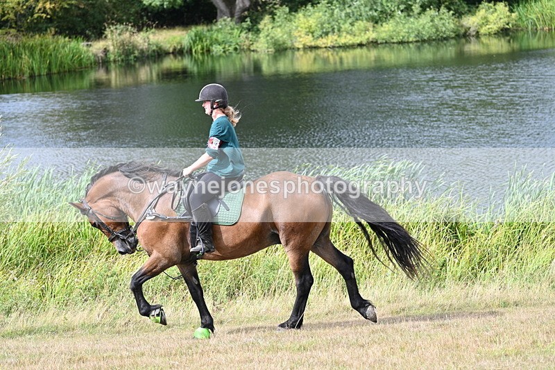 WJ7_4920 - Time 11:17 to 11:22