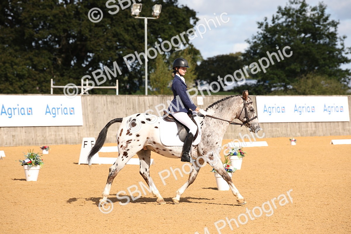 SBM_01961 - D2 Small Tour Championship Intro C