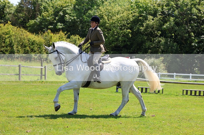 3E7A8301 - Class 13: Ridden Hunter